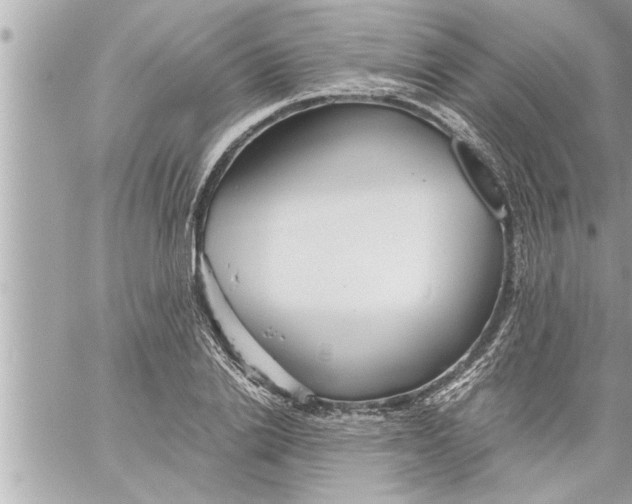 X0000059850838200511111809