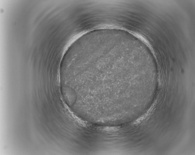 X0000059850839200511111809