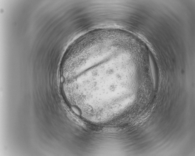 X0000059850840200511111809