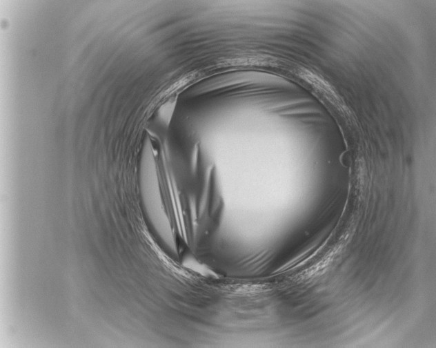 X0000059850841200511111809