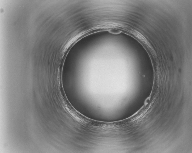 X0000059850842200511111809