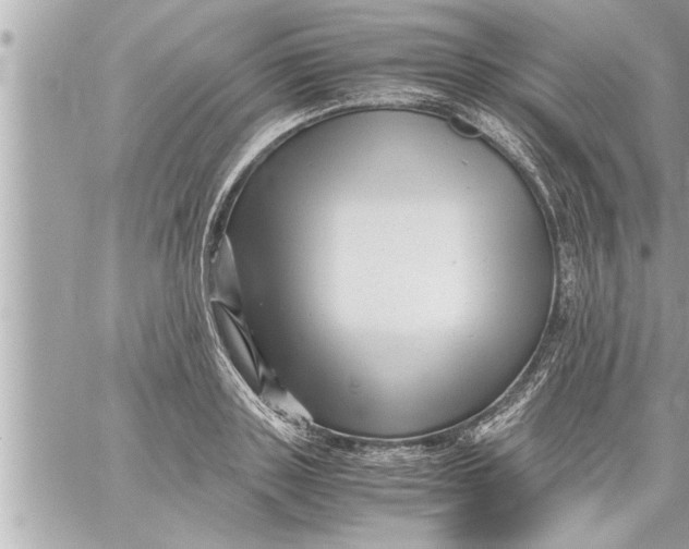 X0000059850843200511111809