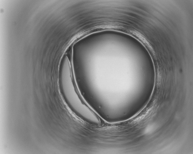 X0000059850845200511111809