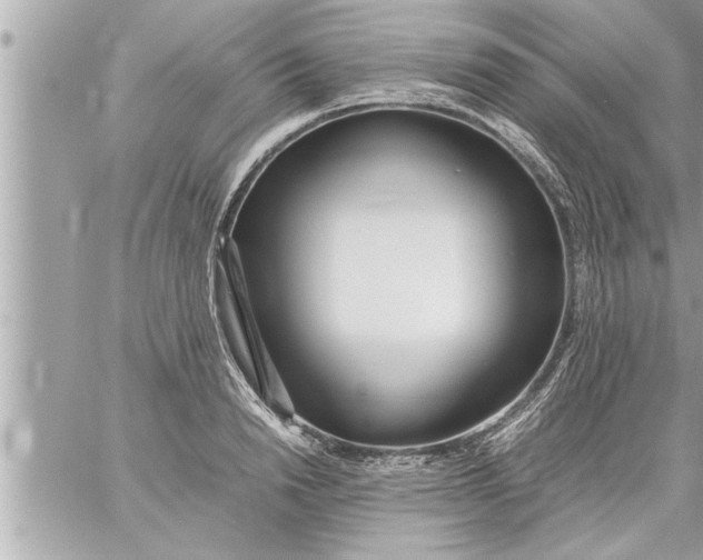 X0000059850846200511111809