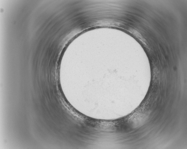 X0000059850848200511111809