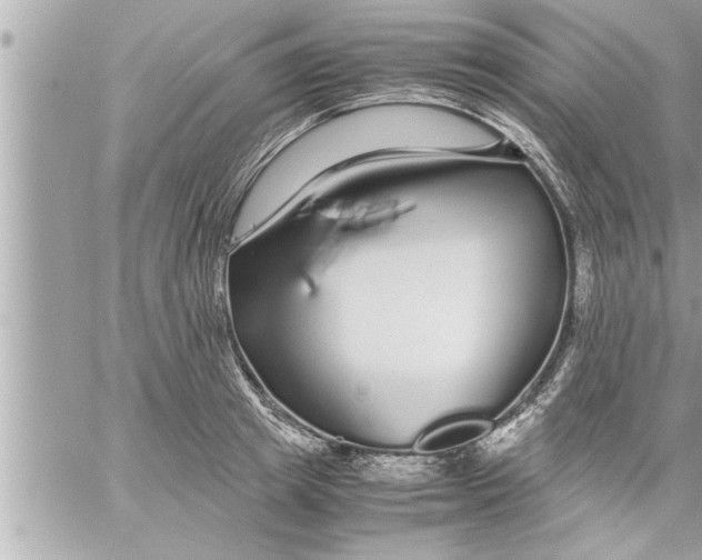 X0000059850849200511111809