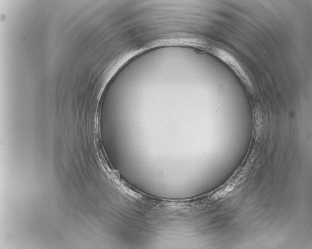 X0000059850852200511111809