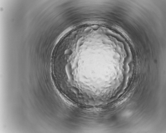 X0000059850853200511111809