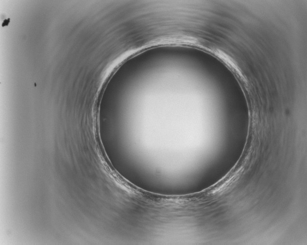 X0000059850854200511111809