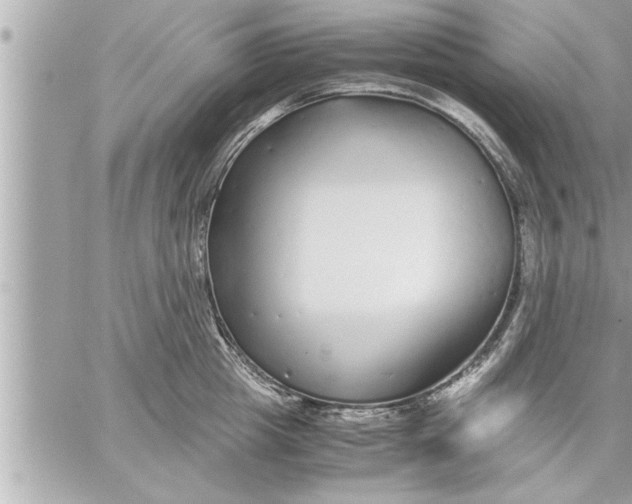 X0000059850857200511111809