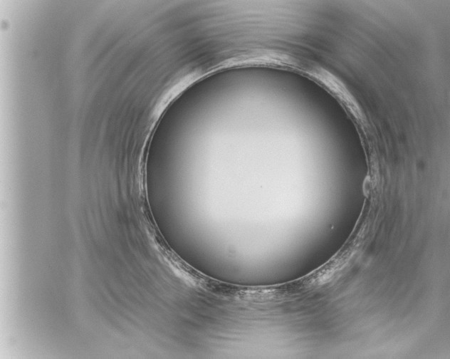 X0000059850858200511111809