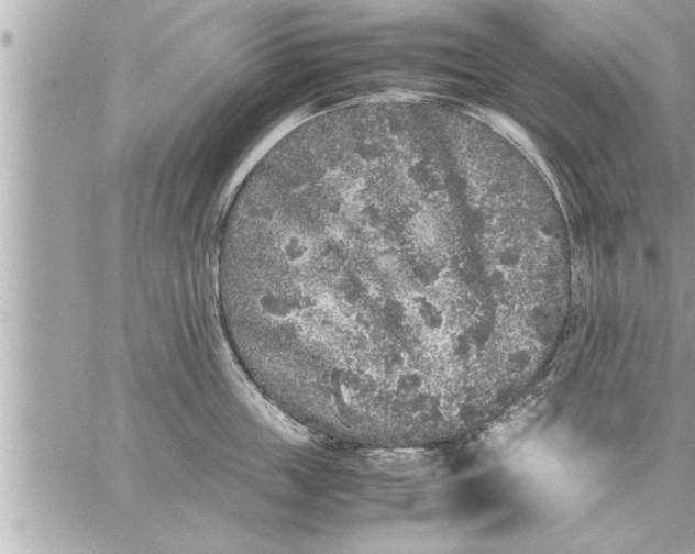 X0000059850859200511111809