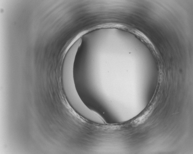 X0000059850860200511111809