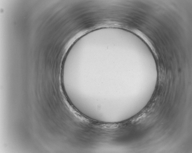 X0000059850861200511111809