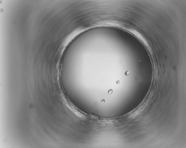 X0000059850862200511111809