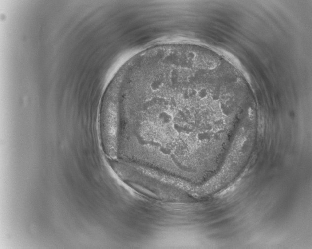 X0000059850863200511111809