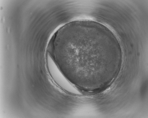 X0000059850864200511111809