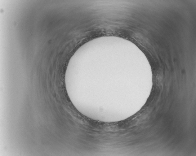 X0000059850865200511111808