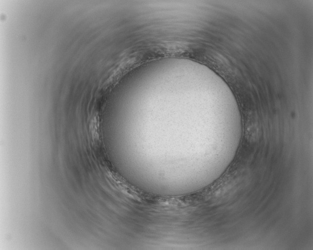 X0000059850866200511111808