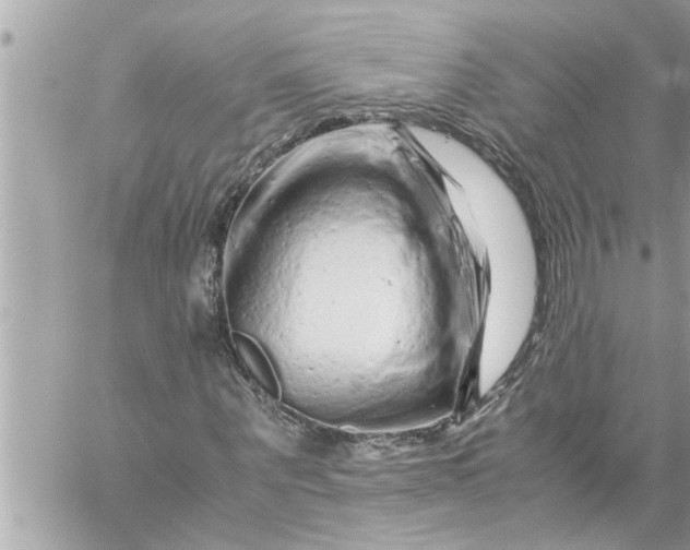 X0000059850867200511111808