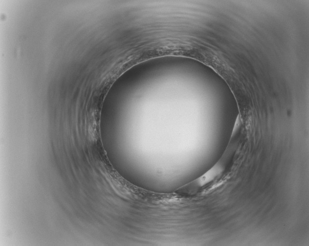 X0000059850868200511111808