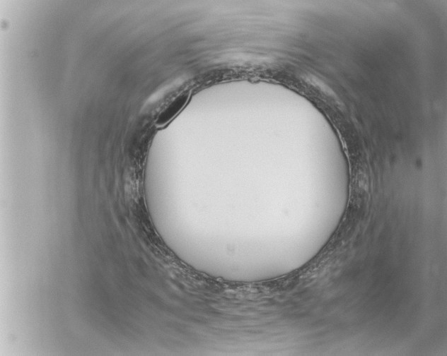 X0000059850869200511111808