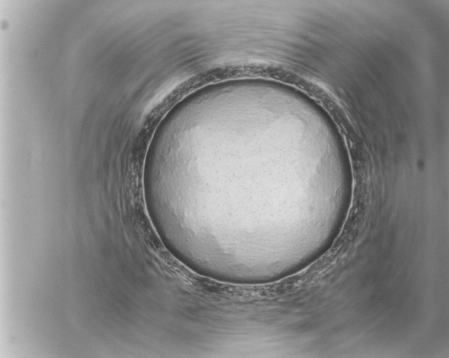 X0000059850871200511111808