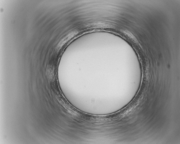 X0000059850873200511111808