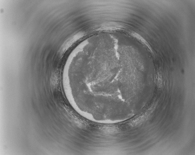 X0000059850874200511111808