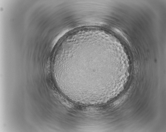 X0000059850875200511111808