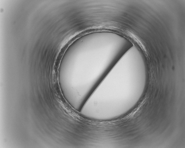 X0000059850876200511111808