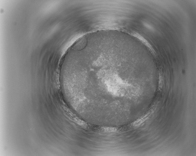 X0000059850878200511111808