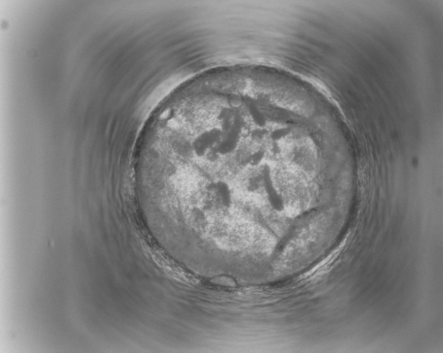 X0000059850879200511111808