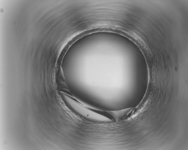 X0000059850880200511111808