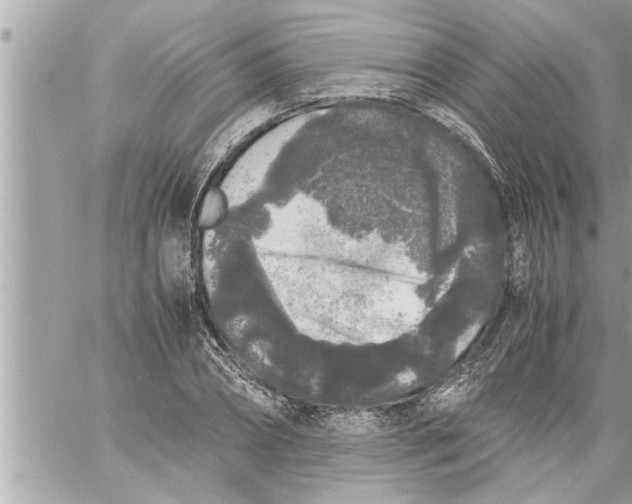 X0000059850882200511111808