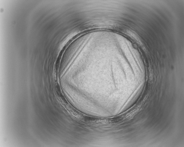 X0000059850883200511111808