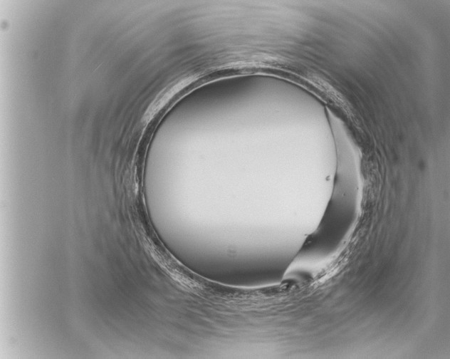 X0000059850885200511111808