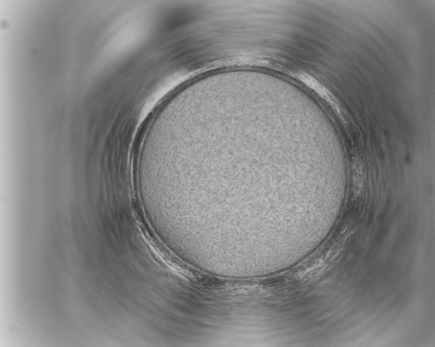 X0000059850886200511111808