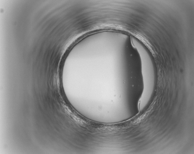 X0000059850888200511111808