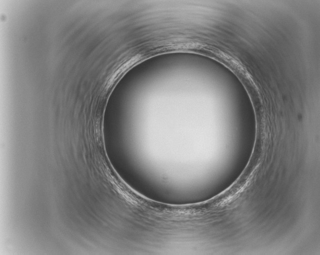 X0000059850889200511111808