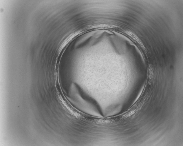 X0000059850890200511111808