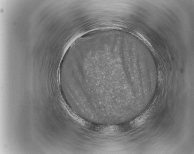 X0000059850891200511111808