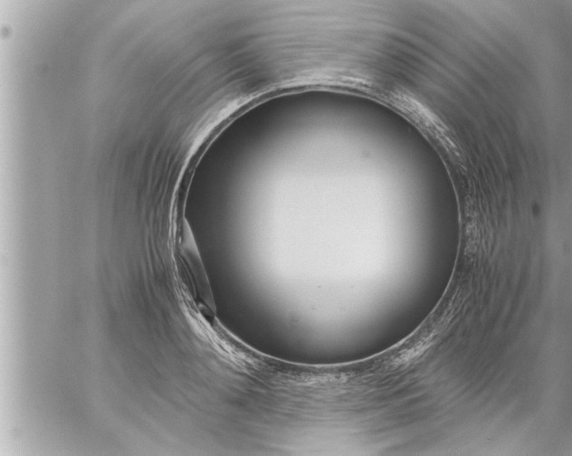 X0000059850892200511111808