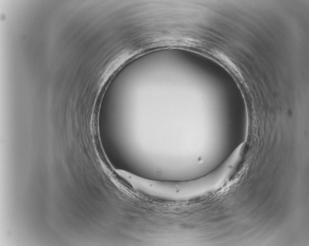 X0000059850893200511111808