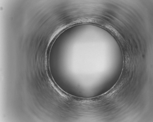 X0000059850894200511111808