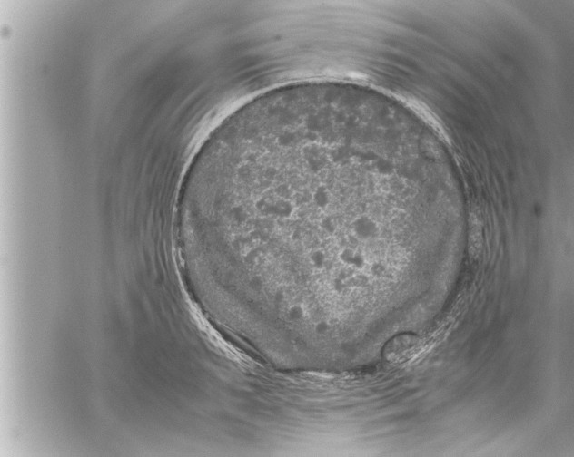 X0000059850895200511111808