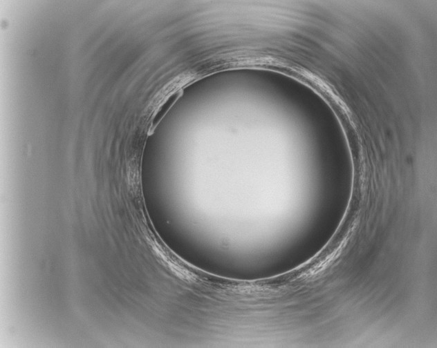 X0000059850897200511111808