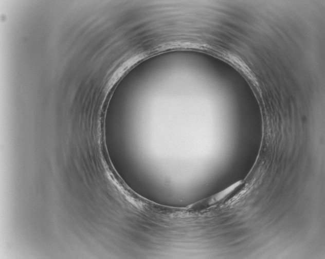 X0000059850898200511111808