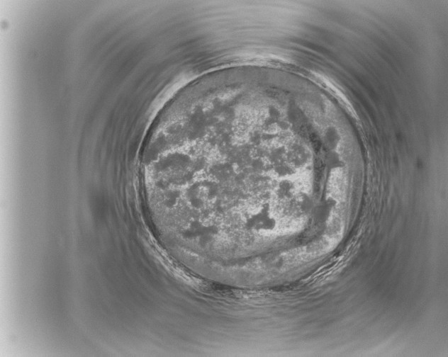 X0000059850899200511111808