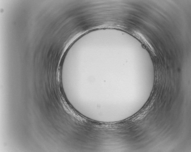 X0000059850900200511111808